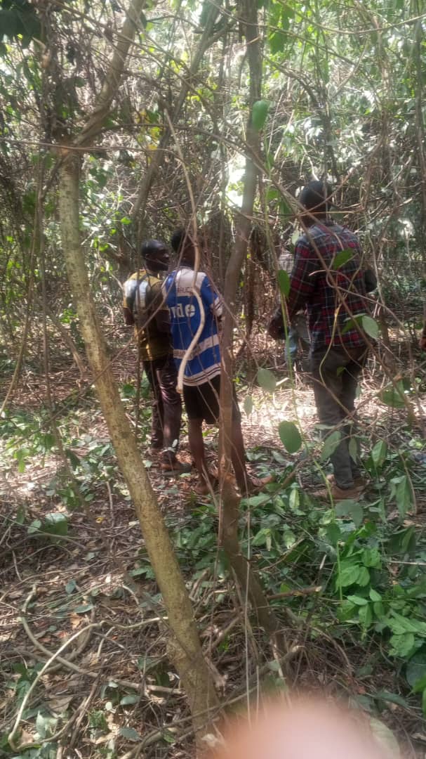 Farm Survey - Papanlato